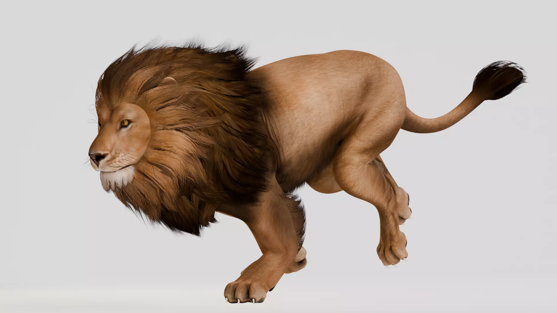 Realistic Animals Savannah - Lion Low-poly 3D model_8