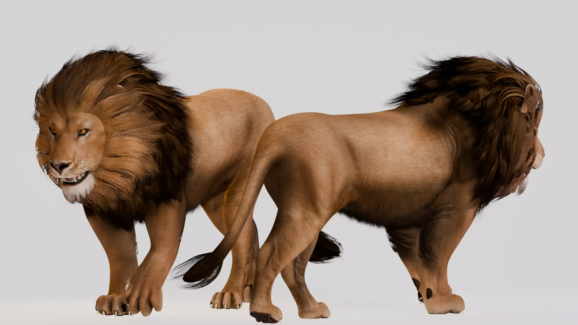 Realistic Animals Savannah - Lion Low-poly 3D model_9