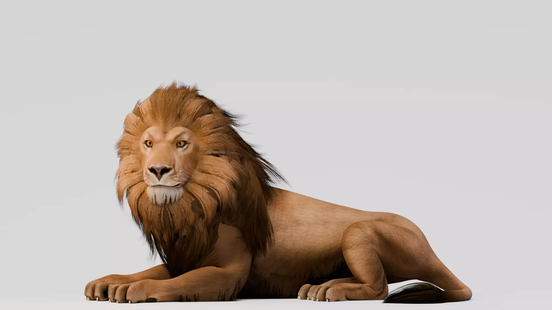 Realistic Animals Savannah - Lion Low-poly 3D model_1