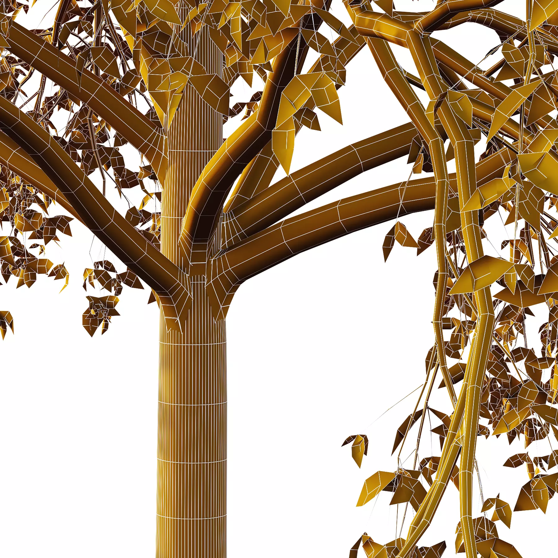 Celtis australis Tree 05 3D model_3
