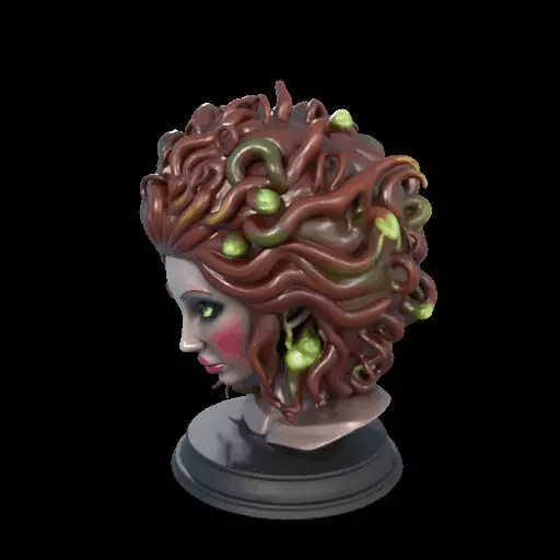 2165  Medusa Gorgon Head 3D Model  magic 3D print model_18
