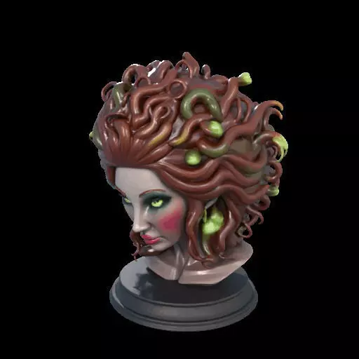 2165  Medusa Gorgon Head 3D Model  magic 3D print model_20
