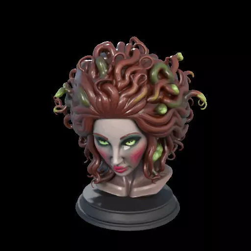 2165  Medusa Gorgon Head 3D Model  magic 3D print model_22