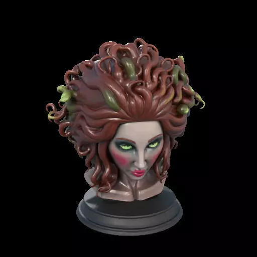 2165  Medusa Gorgon Head 3D Model  magic 3D print model_1