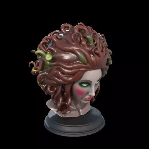 2165  Medusa Gorgon Head 3D Model  magic 3D print model_23
