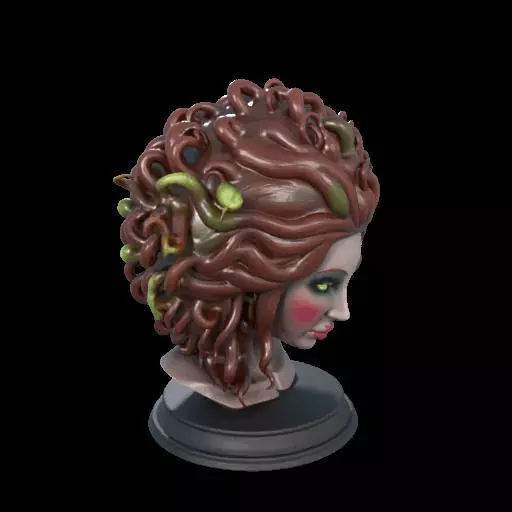 2165  Medusa Gorgon Head 3D Model  magic 3D print model_25