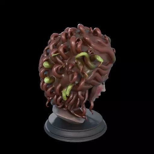 2165  Medusa Gorgon Head 3D Model  magic 3D print model_28