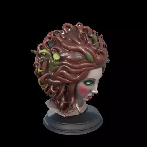 2165  Medusa Gorgon Head 3D Model  magic 3D print model_24