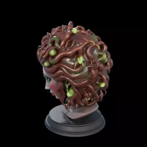 2165  Medusa Gorgon Head 3D Model  magic 3D print model_16