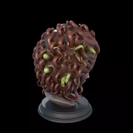 2165  Medusa Gorgon Head 3D Model  magic 3D print model_29