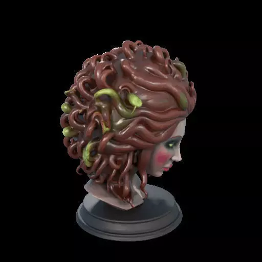 2165  Medusa Gorgon Head 3D Model  magic 3D print model_26