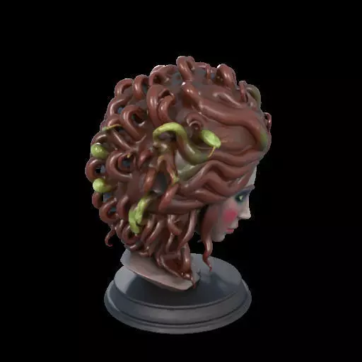 2165  Medusa Gorgon Head 3D Model  magic 3D print model_27