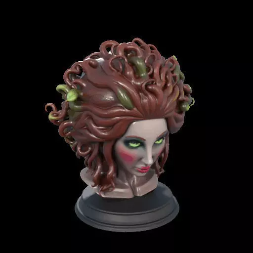 2165  Medusa Gorgon Head 3D Model  magic 3D print model_12