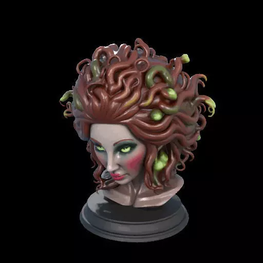 2165  Medusa Gorgon Head 3D Model  magic 3D print model_21