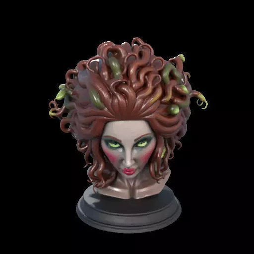 2165  Medusa Gorgon Head 3D Model  magic 3D print model_0