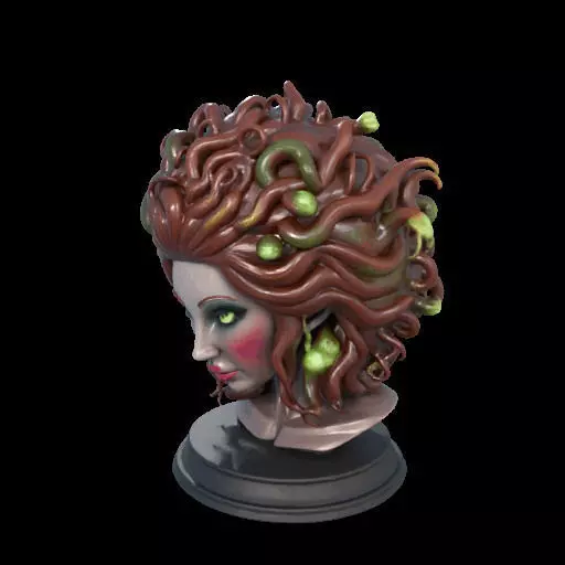 2165  Medusa Gorgon Head 3D Model  magic 3D print model_19