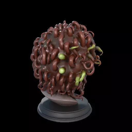 2165  Medusa Gorgon Head 3D Model  magic 3D print model_3