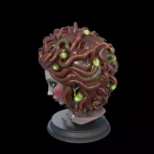 2165  Medusa Gorgon Head 3D Model  magic 3D print model_17