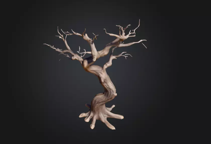 Twisted Dead Tree Low-poly 3D model_9