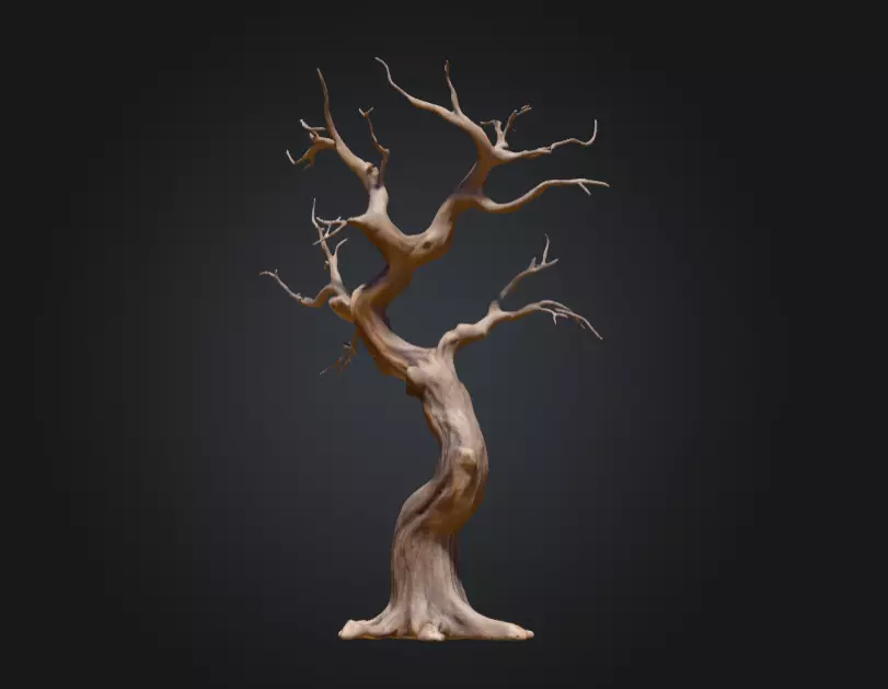 Twisted Dead Tree Low-poly 3D model_14