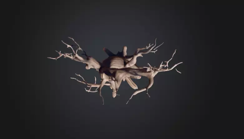 Twisted Dead Tree Low-poly 3D model_15