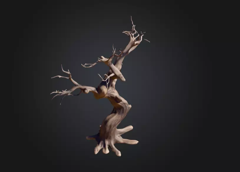 Twisted Dead Tree Low-poly 3D model_8