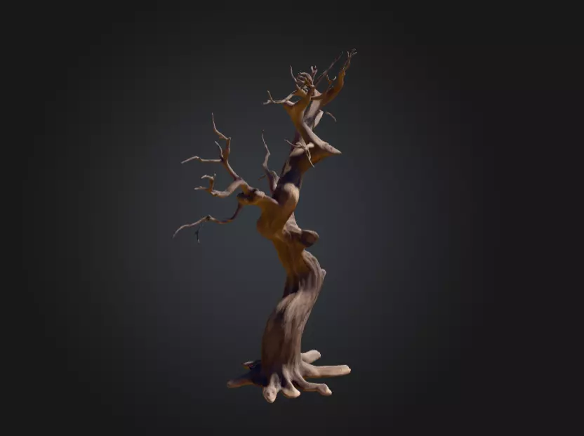 Twisted Dead Tree Low-poly 3D model_1