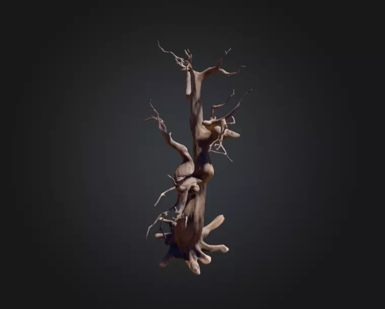Twisted Dead Tree Low-poly 3D model_7