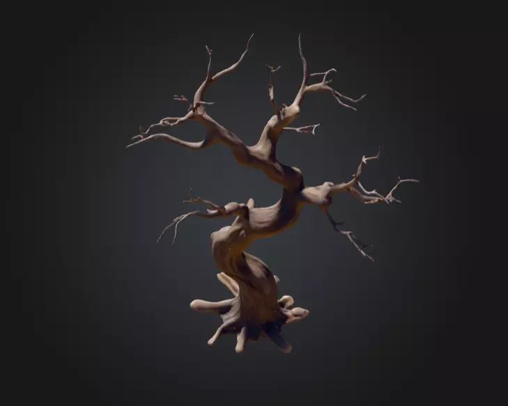 Twisted Dead Tree Low-poly 3D model_6