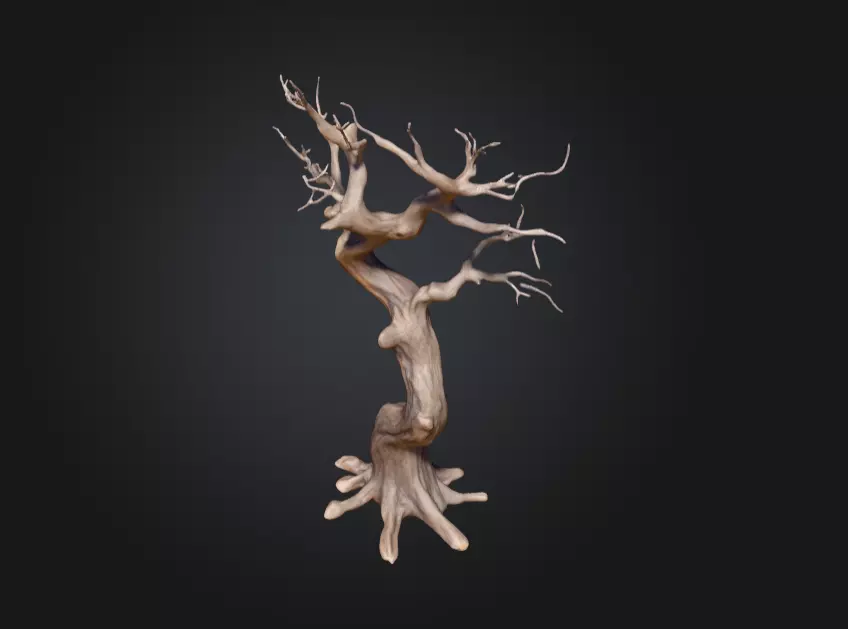 Twisted Dead Tree Low-poly 3D model_10