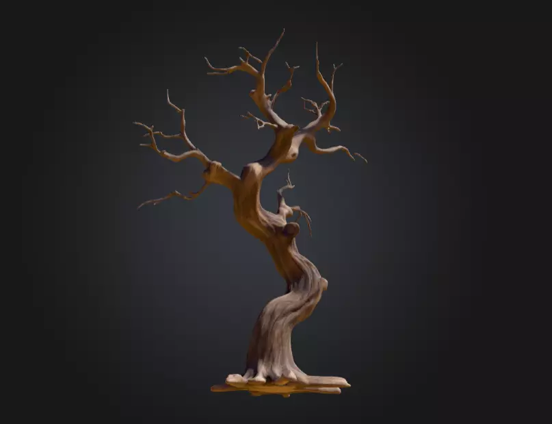 Twisted Dead Tree Low-poly 3D model_13