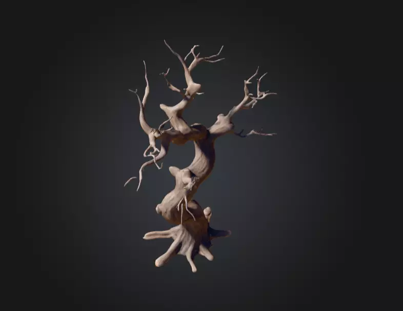 Twisted Dead Tree Low-poly 3D model_5
