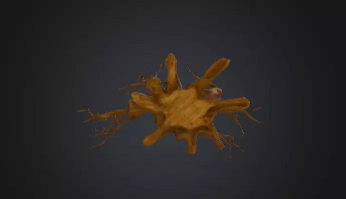 Twisted Dead Tree Low-poly 3D model_16