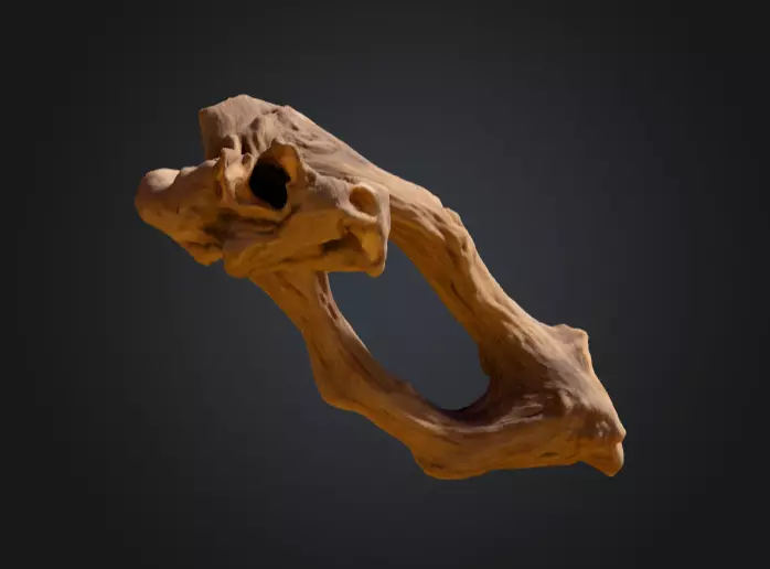 Twisted Driftwood Arch Low-poly 3D model_14