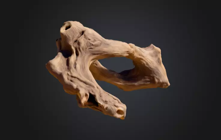 Twisted Driftwood Arch Low-poly 3D model_6