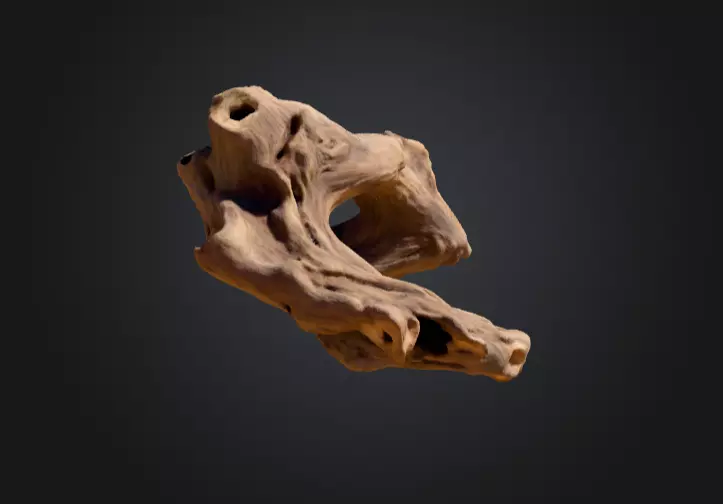 Twisted Driftwood Arch Low-poly 3D model_5