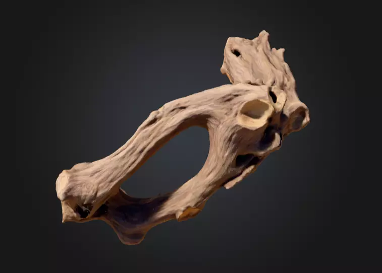 Twisted Driftwood Arch Low-poly 3D model_10