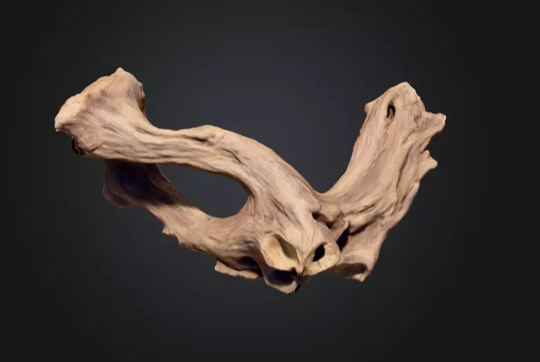 Twisted Driftwood Arch Low-poly 3D model_11