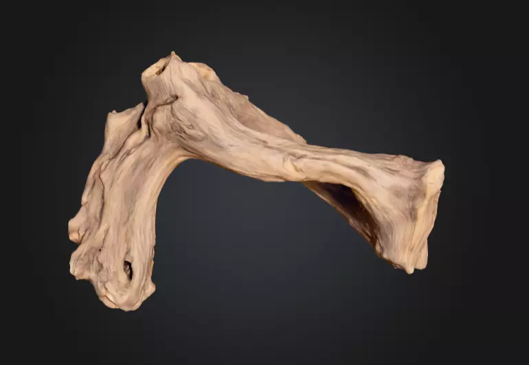 Twisted Driftwood Arch Low-poly 3D model_8