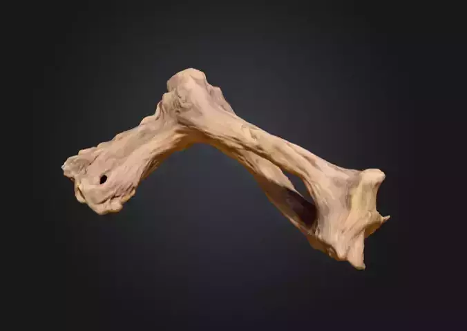 Twisted Driftwood Arch Low-poly 3D model