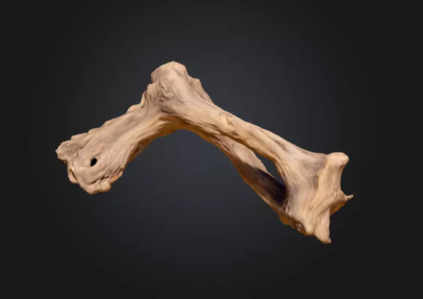 Twisted Driftwood Arch Low-poly 3D model_0