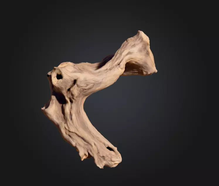 Twisted Driftwood Arch Low-poly 3D model_7