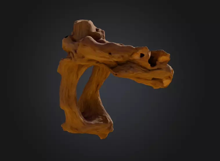 Twisted Driftwood Arch Low-poly 3D model_13