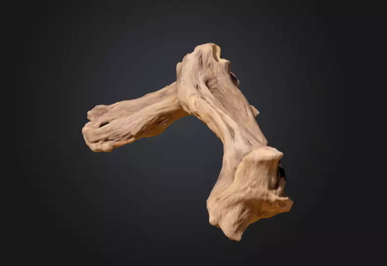 Twisted Driftwood Arch Low-poly 3D model_1