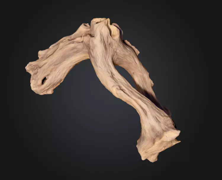 Twisted Driftwood Arch Low-poly 3D model_9