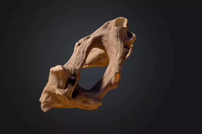 Twisted Driftwood Arch Low-poly 3D model_2