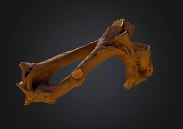 Twisted Driftwood Arch Low-poly 3D model_12
