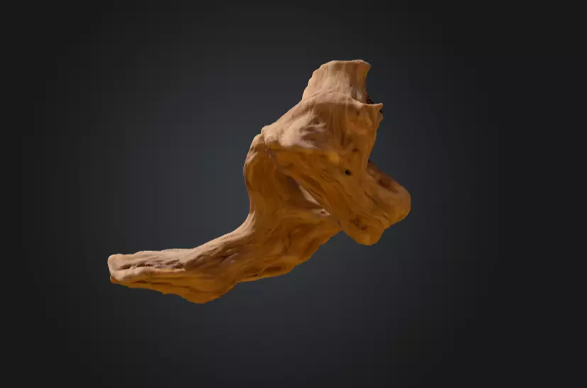 Twisted Driftwood Arch Low-poly 3D model_15