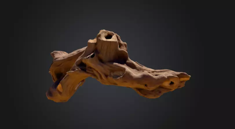 Twisted Driftwood Arch Low-poly 3D model_4