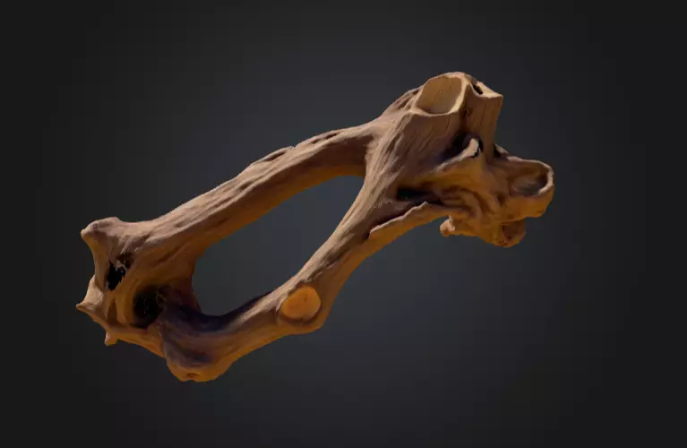 Twisted Driftwood Arch Low-poly 3D model_3